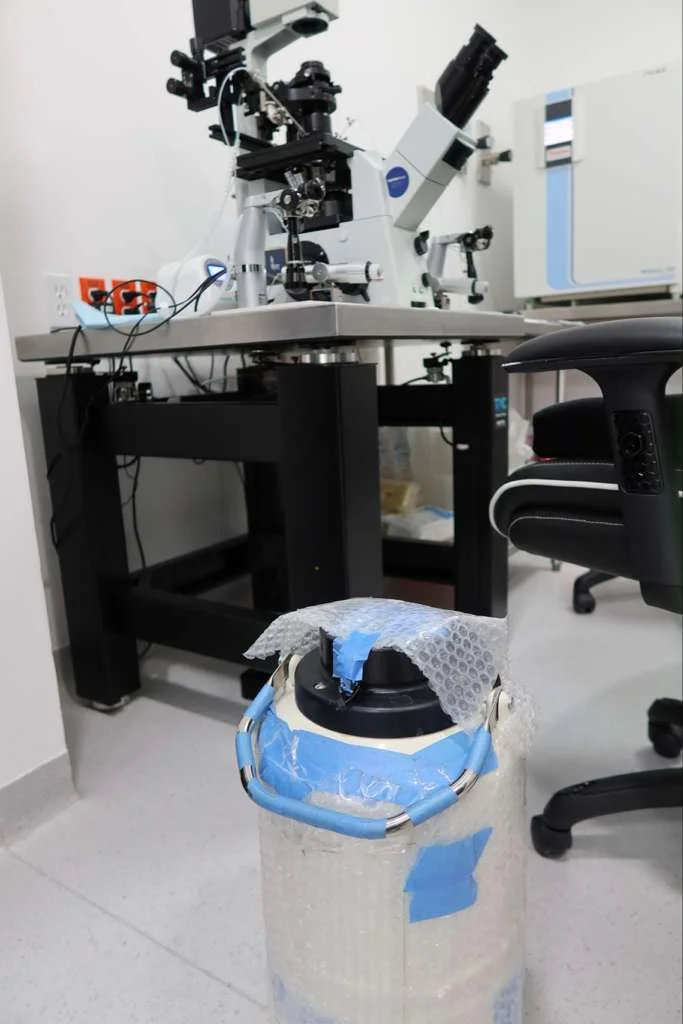 Geld IVF Courier in IVF Laboratory