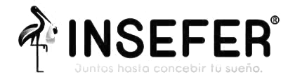 INSEFER